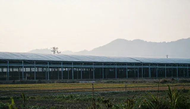 市场调研产品选型与应用建议