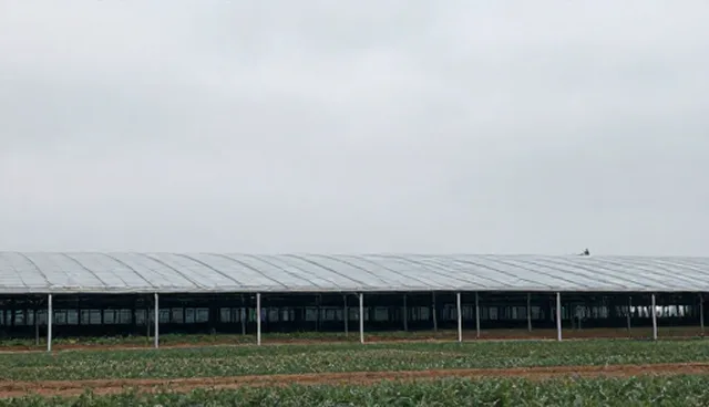 选型决策中的关键检查要点分析